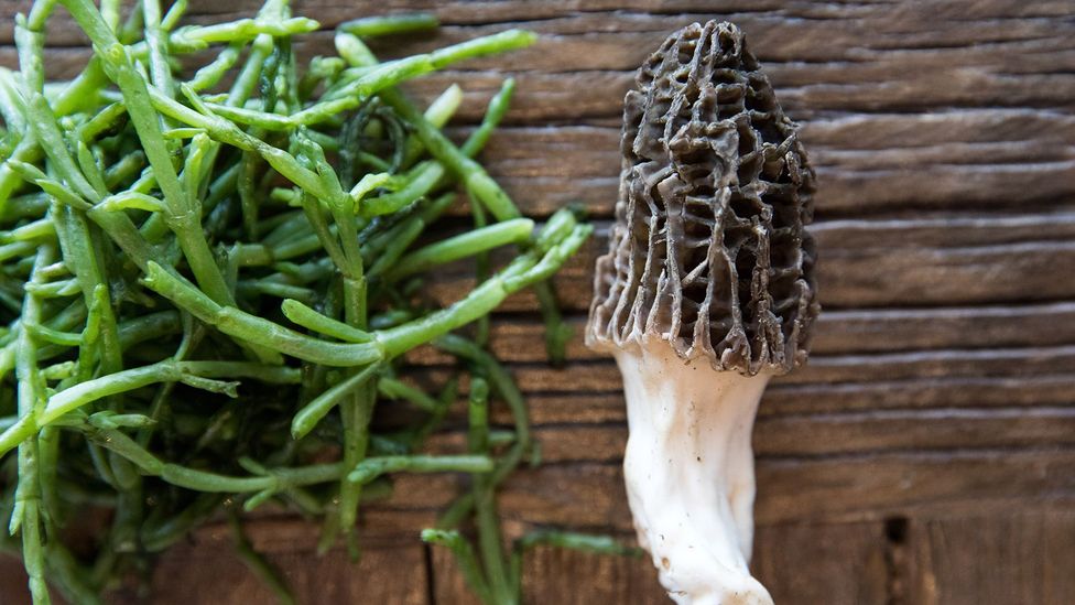 Come autumn, 75% of Bulrush's menu features foraged ingredients (Credit: Bulrush) Come autumn, 75% of Bulrush's menu features foraged ingredients (Credit: Bulrush)