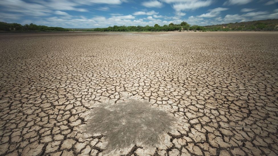 Water scarcity is predicted to become more common due to climate change (Credit: Alamy)