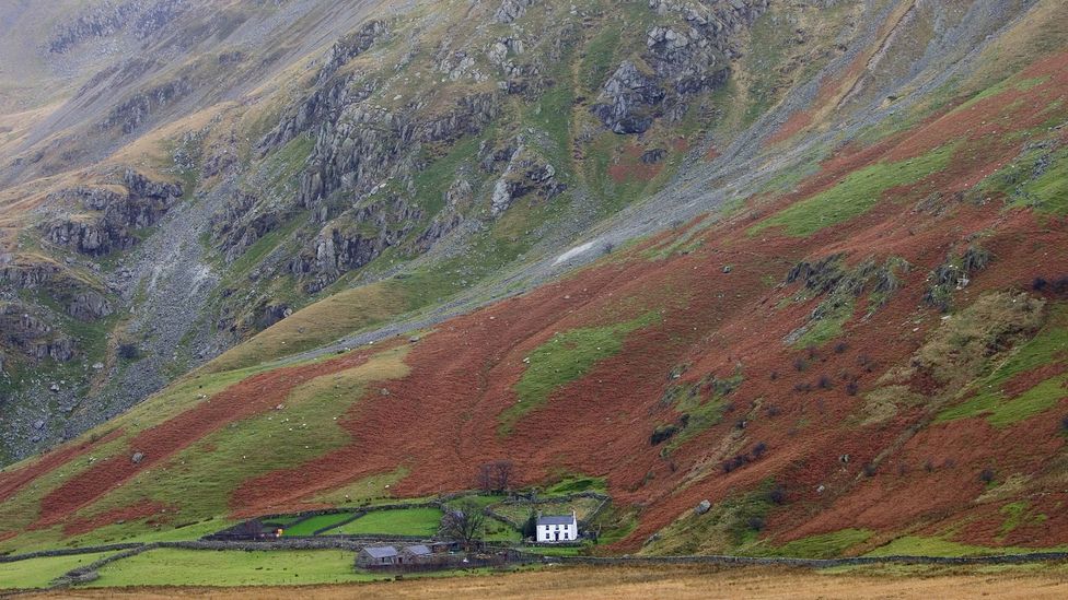 Neil Ansell pasó cinco años viviendo en completo aislamiento en la zona rural de Gales, pero vio ese aislamiento como algo positivo (Crédito: Tim Graham / Getty Images)
