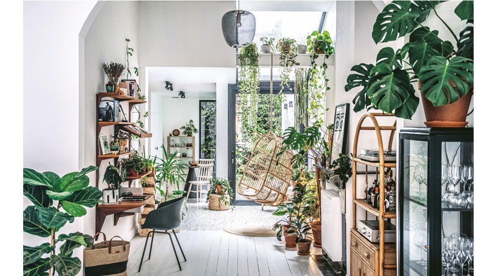 This plant-filled home in Antwerp is among those featured in the book Wild Interiors (Credit: Hilton Carter/ CICO Books)