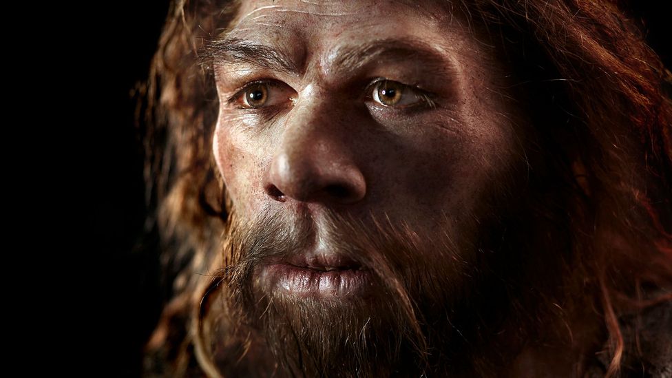 Neanderthals were far more like us than previously believed, and it probably means they engaged in warfare too (Credit: Science Photo Library)