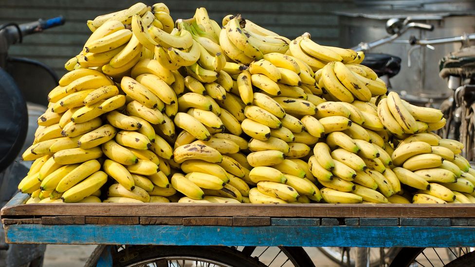The banana is India’s go-to fruit for nearly every occasion (Credit: alisbalb/Getty Images)