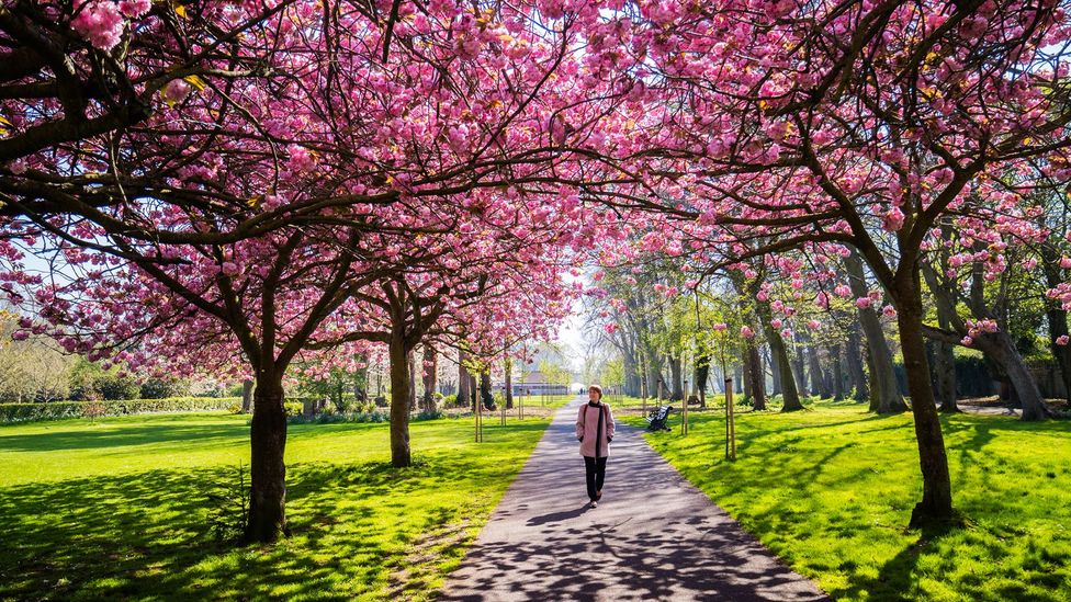 As soon as we leave home - even for a walk in the park - our brain starts paying attention (Credit: David Soanes/Getty Images)