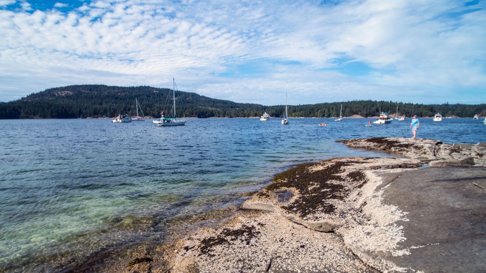 Maria Mahoi lived on Russell Island in the early 20th Century, and her legacy helped shape the creation of the Gulf Islands National Park Reserve (Credit: Diane Selkirk) Maria Mahoi lived on Russell Island in the early 20th Century, and her legacy helped shape the creation of the Gulf Islands National Park Reserve (Credit: Diane Selkirk)