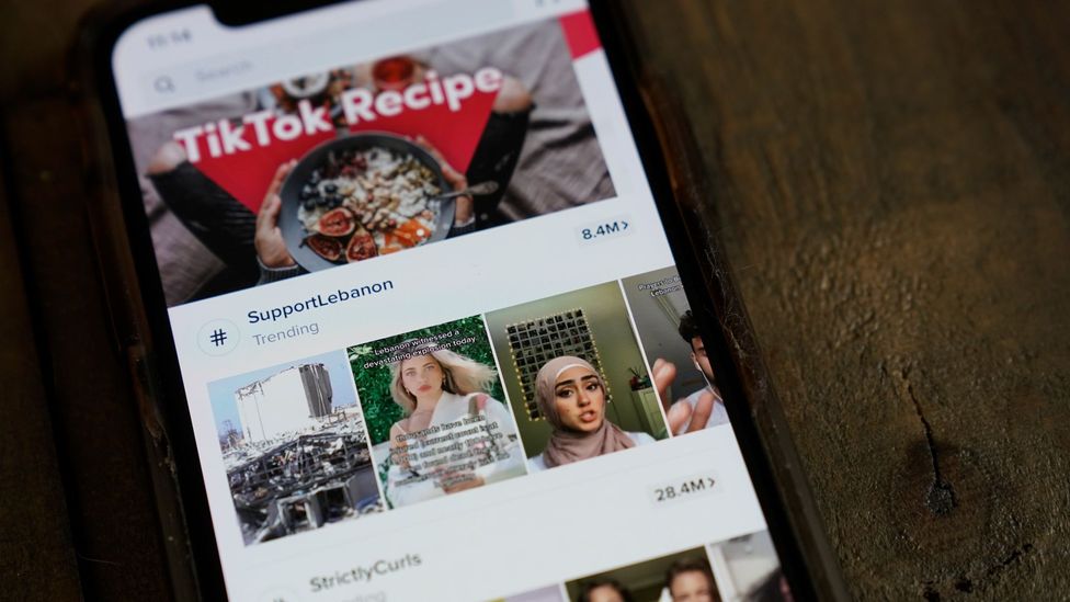 TikTok has 690 million monthly active users around the world, including 100 million in the US and another 100 million in Europe (Credit: Drew Angerer/Getty Images)