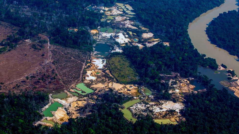 In the Brazilian Amazon, the Esperanca IV informal gold mining camp, near the Menkragnoti indigenous territory
Credit: Joao Laet/Getty Images)