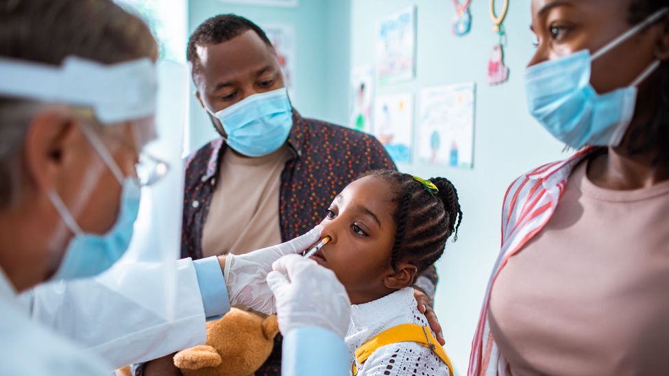 Herd immunity is a kind of disease resistance that occurs within a population (Credit: Getty Images)