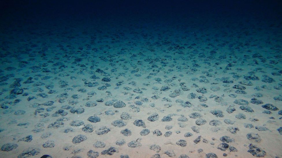 Polymetallic nodules in the south-east Pacific Ocean off Peru (Credit: GEOMAR/MiningImpact Project)