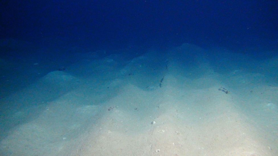 These deliberate marks in the seabed were 26 years old in this photo taken in 2015 (Credit: GEOMAR/MiningImpact Project)