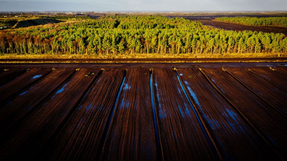 Many commercial peat bogs are being retired in Ireland, and faster than expected (Credit: Paula Nolan)