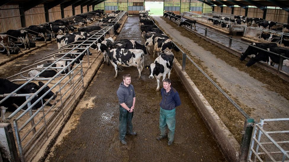 Ben Davies and his father Peter have invested substantial sums in emissions-reducing technologies on their farm (Credit: John Quintero/BBC)