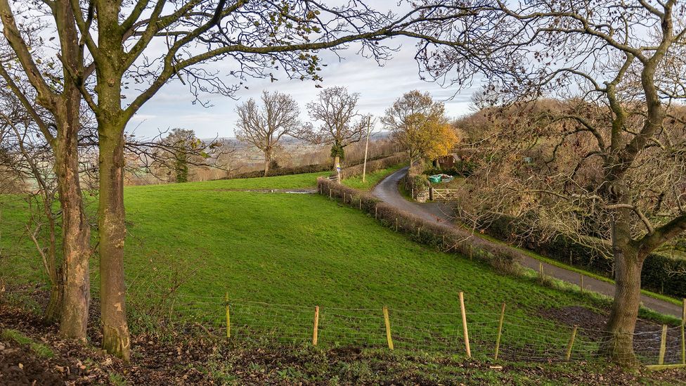 Increasingly extreme weather has been noticeable in the Shropshire countryside and has been making the jobs of dairy farmers harder (John Quintero/BBC)