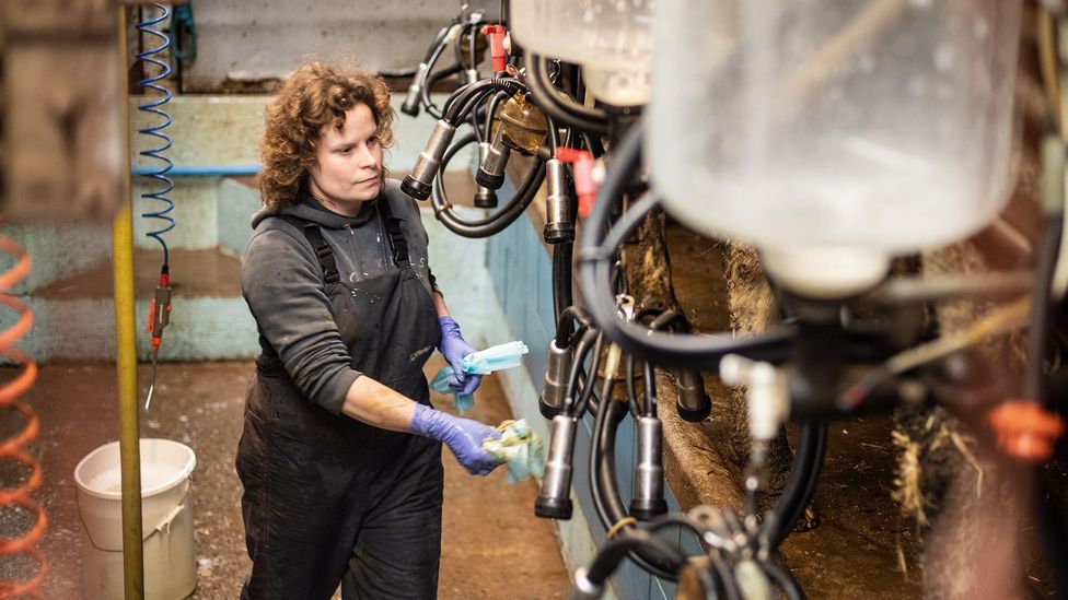 Farmers like Hannah Edwards feel a strong obligation to protect the environment, but their thoughts on climate action are not always so clear cut (Credit: John Quintero/BBC)