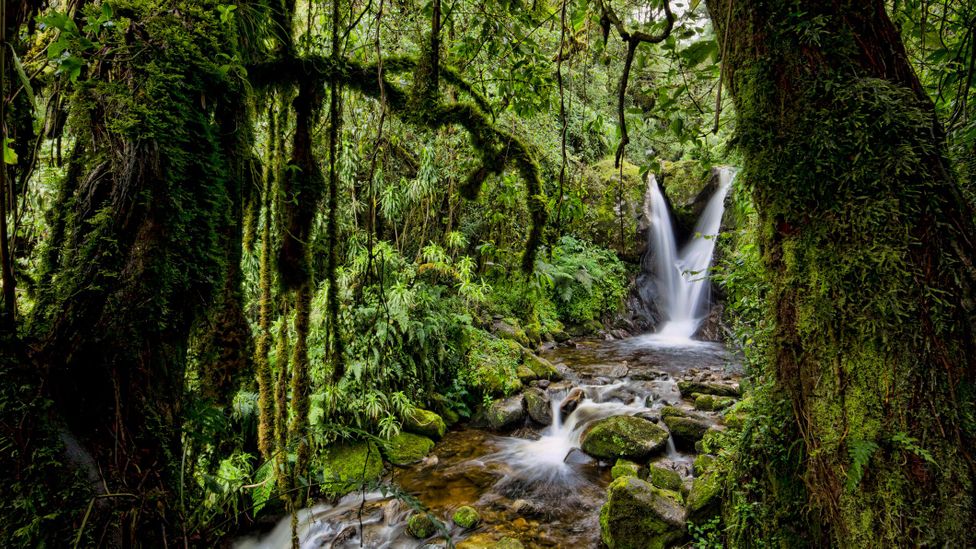 Locals hope that the revitalised trails and camps will entice tourists to return to the region (Credit: Morgan Trimble/Getty Images)