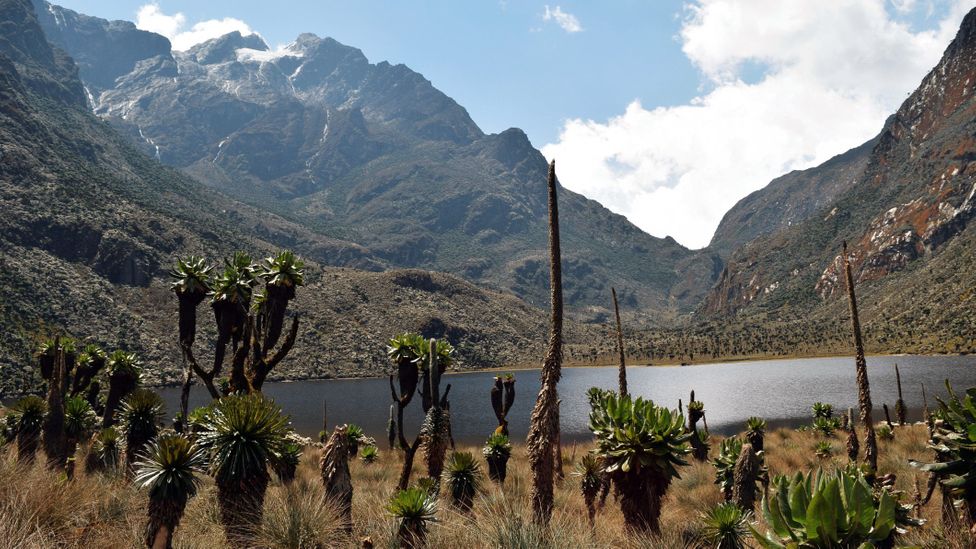 The region's glaciers, waterfalls and lakes make it one of Africa's most beautiful alpine areas (Credit Martin Mwaura/Getty Images)