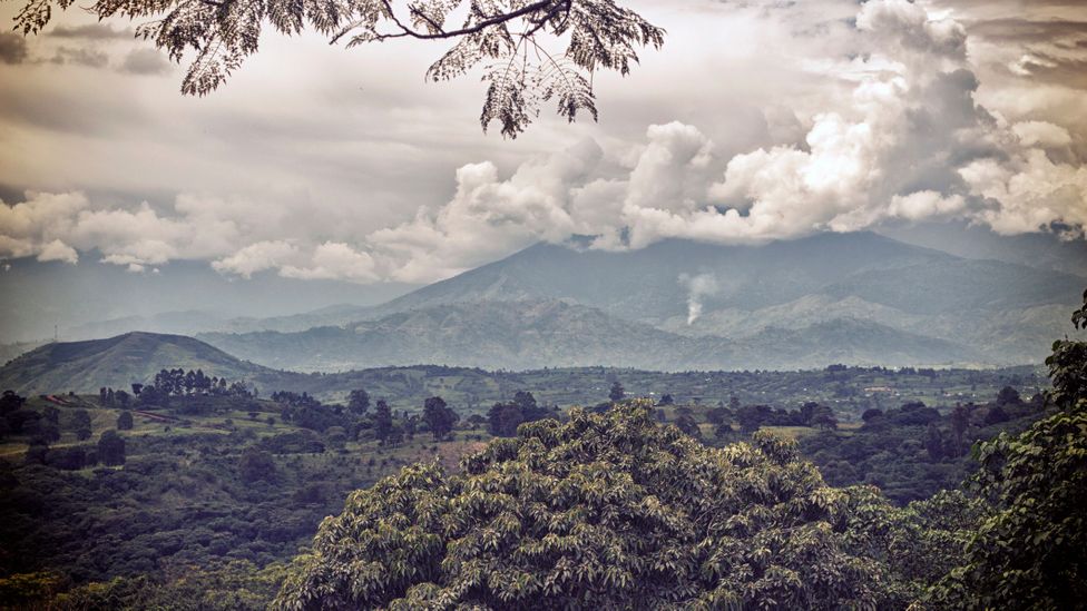 The Rwenzori Mountains National Park has Unesco listing as an area of exceptional natural beauty (Credit: Misugo/Getty)