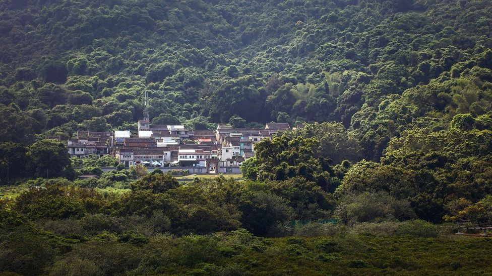 The success of the Sustainable Lai Chi Wo project has led organisers to be optimistic that it may soon expand to other villages (Credit: Credit: Hong Kong Tourism Board)