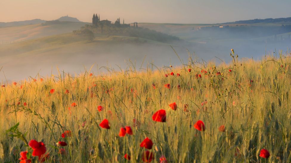 Frances Mayes on the enduring allure of Italy - BBC Travel