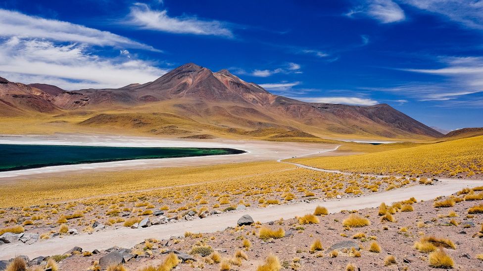The Laguna Miscanti is a rare oasis in Chile's Atacama Desert – the driest desert in the world (Credit: Blake Burton/Aurora Photos/Getty Images)