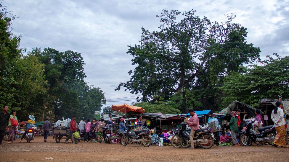 The morning market at Battambang, Cambodia would be an unremarkable affair – except for its fruit bats (Credit: Piseth Morais)