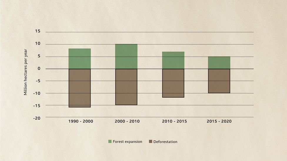 World deforestation rates are slowing slowly overall, but in some of the world's most pristine forests it is still rapid (Credit: FAO/BBC)