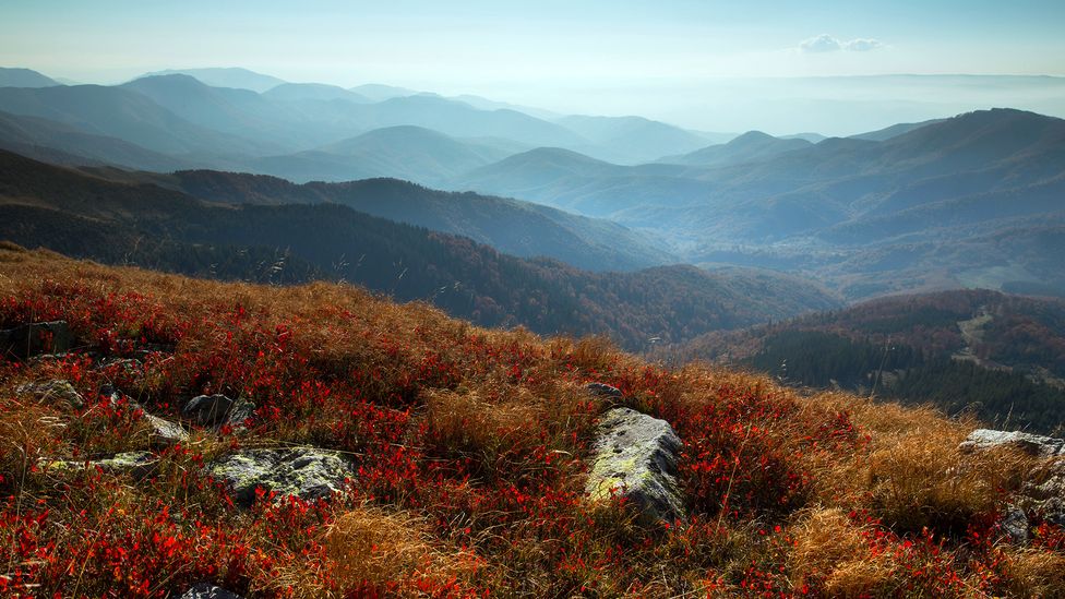 One tryst between our early modern humans ancestors and Neanderthals could have taken place in the Southern Carpathian mountains (Credit: NPL/Alamy) One tryst between our early modern humans ancestors and Neanderthals could have taken place in the Southern Carpathian mountains (Credit: NPL/Alamy)