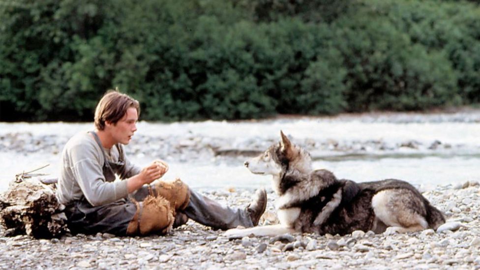 The Timeless Appeal Of One Man And His Dog Stories c Culture