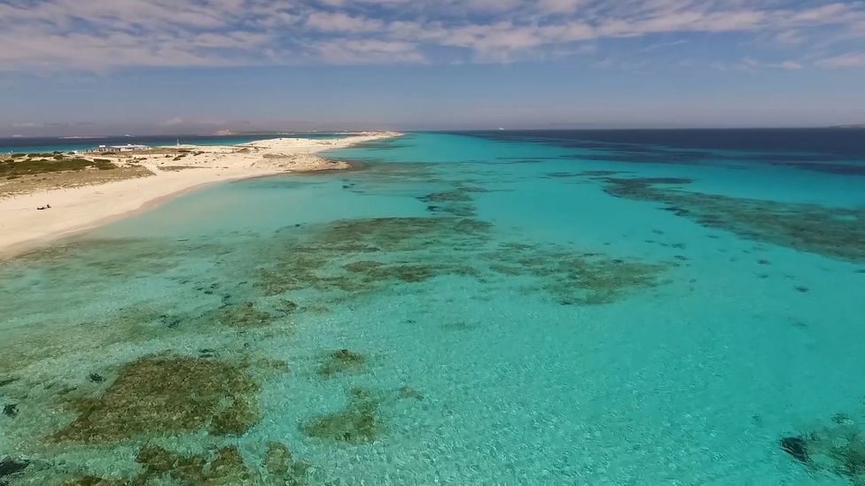 Formentera boasts some of the most spectacular beaches of the world (Credit: Rafael Estefania) Formentera boasts some of the most spectacular beaches of the world (Credit: Rafael Estefania)