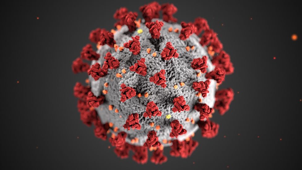 The spike proteins (red) that stud the surface of the Covid-19 virus help it to get inside cells, but are also targetted antibodies (Credit: CDC/Getty Images)