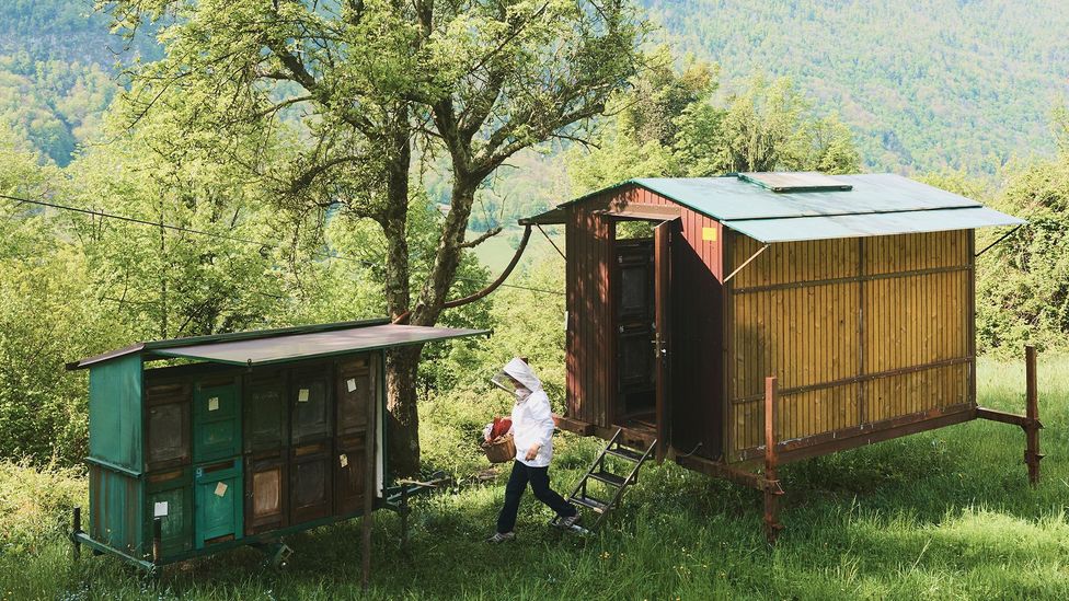 Roš is committed to working with local ingredients, which include honey (Credit: Benjamin Schmuck) Roš is committed to working with local ingredients, which include honey (Credit: Benjamin Schmuck)