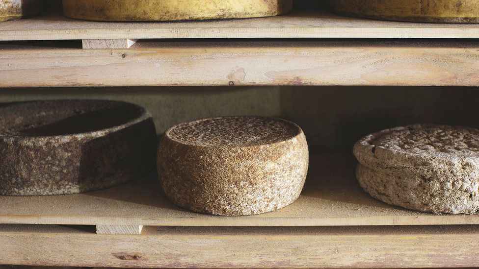 Slovenia produces a variety of local cheeses (Credit: Suzan Gabrijan)