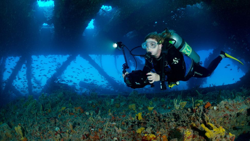 While marine life might benefit from the subsurface structures, there are concerns about the rigs-to-reefs programmes also supporting extractive industries (Credit: Alamy)