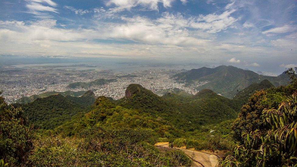 The outskirts of Rio de Janeiro encroach upon the edge of Brazil's Atlantic Forest (Credit: Getty Images)