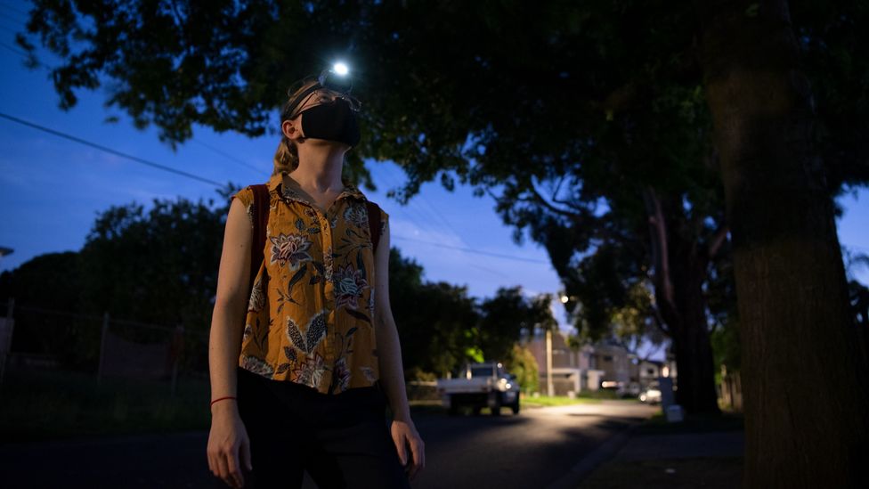 Saras Windecker is conducting nocturnal surveys to estimate how many possums live in neighbourhoods around Melbourne (Credit: Annette Ruzicka)