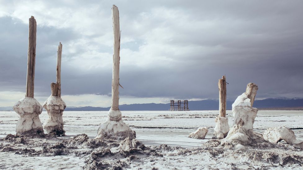 A key way of restoring the lake is shifting away from the water-intensive agriculture that drained the lake in the first place (Credit: Solmaz Daryani)