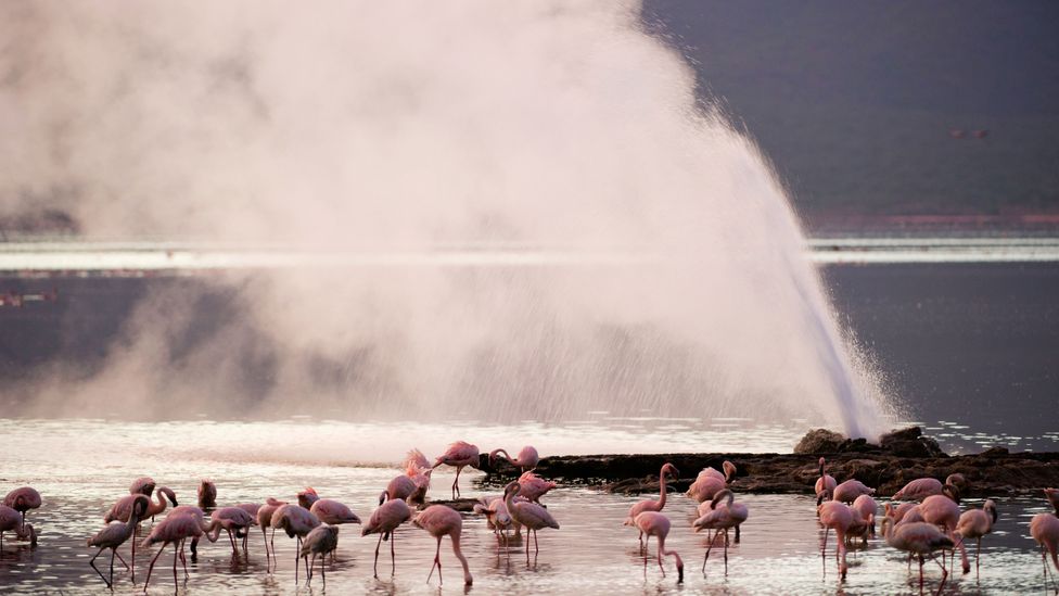 Geothermal energy might be most prominent in areas with hot springs and geysers, but even in cooler climes it can provide significant clean energy (Credit: Alamy)