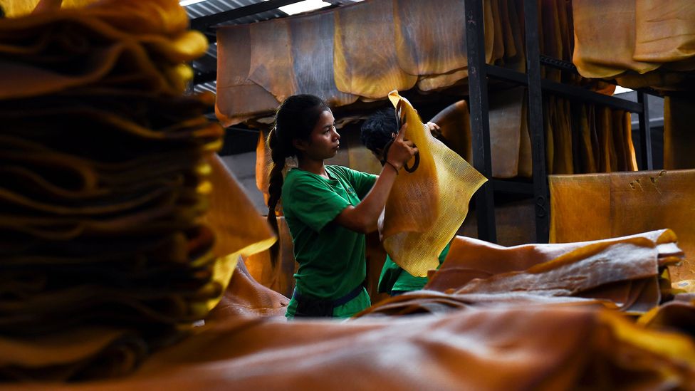 Most of the world's natural rubber comes from Southeast Asia, but low prices are causing some farmers to give up the crop (Credit: Jonathan Klein/Getty Images)
