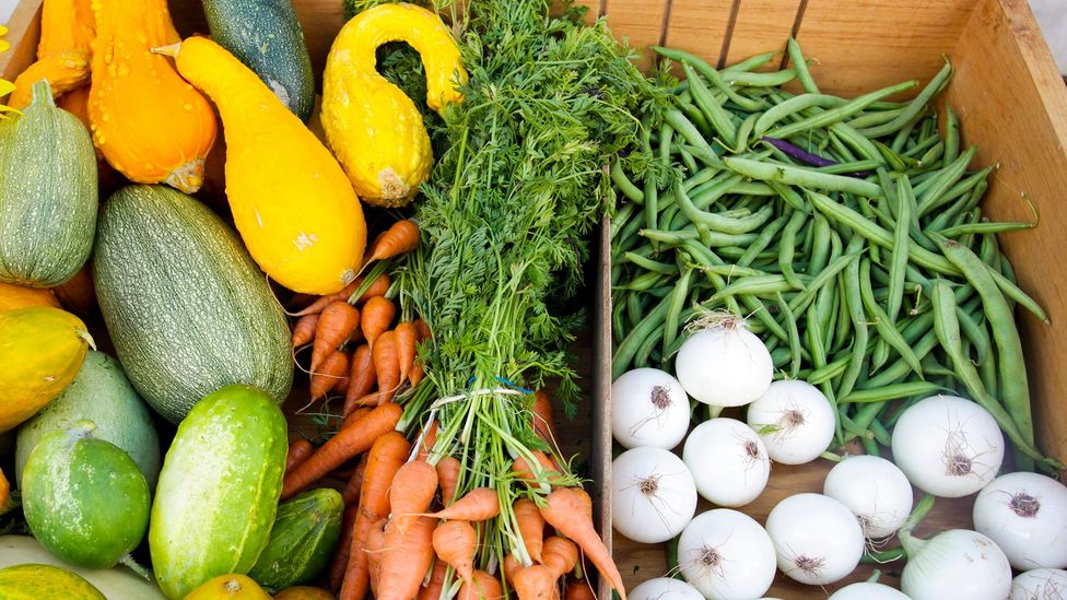 Many common culinary ingredients like squash, beans, carrots and onions are based on Native foods (Credit: Julien McRoberts/Getty Images)