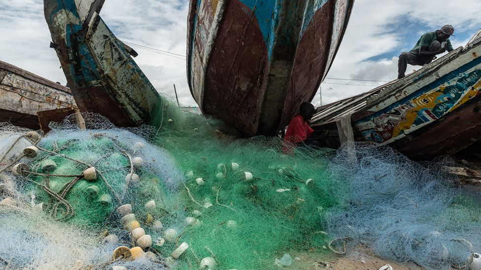 Demand for seafood has doubled since the 1960s, but it has exhausted fish stocks in many coastal waters (Credit: Fábio Nascimento/The Outlaw Ocean Project)