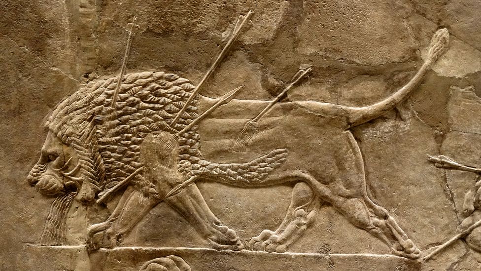 ashurbanipal hunting lions