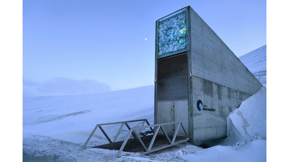 The Seed Bank That S Inadvertently Storing Fungi c Future