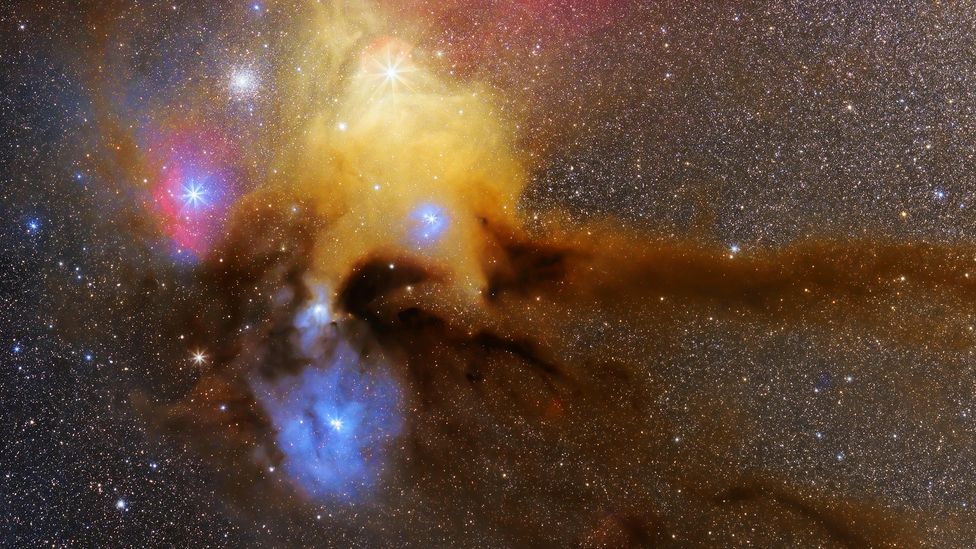 One of the largest known stars, Antares, is due to explode in the next 10,000 years. Will today's genetic mistakes still be around in the humans watching? (Credit: Alamy)