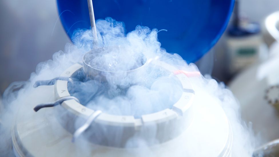 Eggs for IVF being stored in liquid nitrogen (Credit: Getty Images)