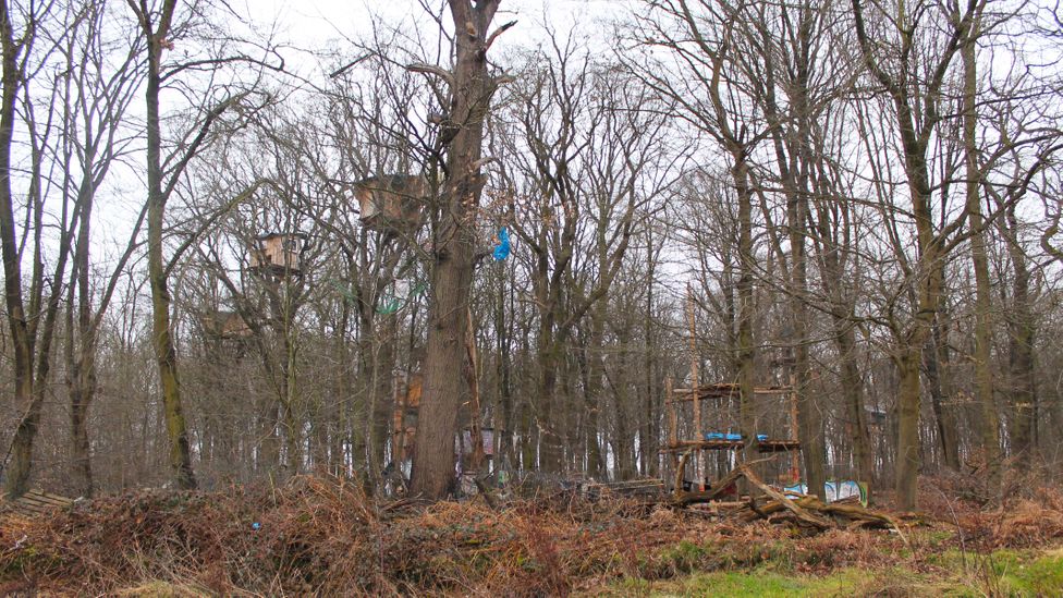 Environmental activists are fighting to save parts of the nearby Hambach forest from coal mine expansion (Credit: Jessica Bateman)