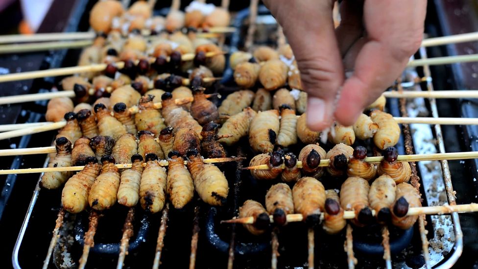 Insects are many times more efficient to farm than livestock, requiring less land and time to produce the same quantity of food (Credit: Getty Images)