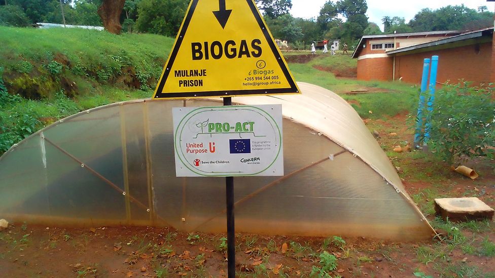 Biogas can be harnessed from human poo with the help of a simple digester – turning waste into fuel (Credit: Madalitso Wills Kateta)