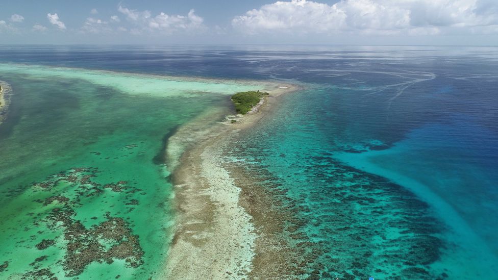 Shallow reefs around islands like those off the coast of Belize help to protect the coast from erosion, as well as supporting rich marine life (Credit: Fragments of Hope)