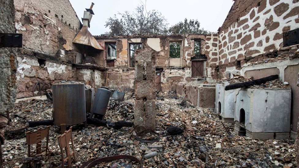 More than 60 people died in Portugal's 2017 wildfires, many of them because of the unpredictable behaviour of the PyroCb (Credit: Getty Images)