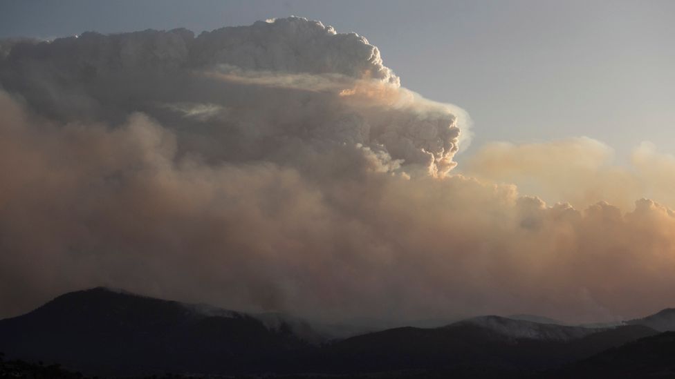 A cluster of pyroCbs occurred in Australia in 2019-20 on a scale not seen before (Credit: Getty Images)