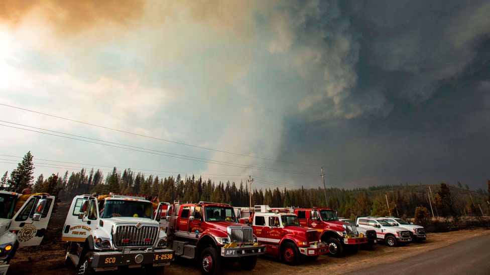 If scientists are better able to understand and predict the behaviour of pyroCbs, it could offer a better chance of containing or preventing the fires (Credit: Getty Images)